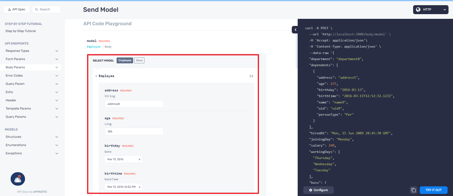 API Playground Model