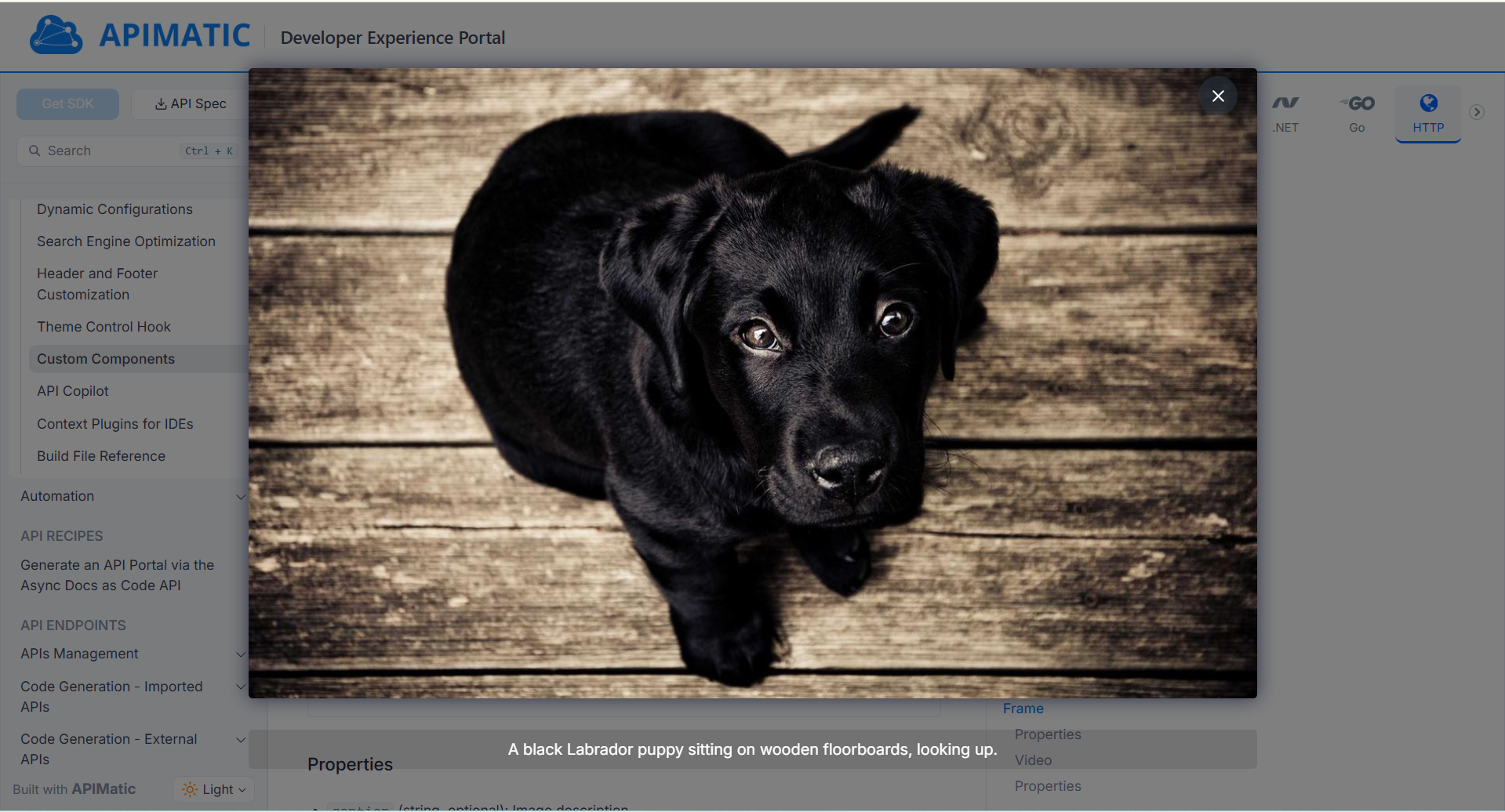 Frame Image - Before