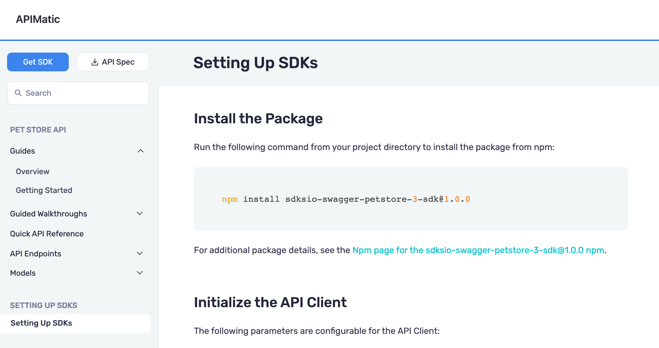 APIMatic portal with package installation command